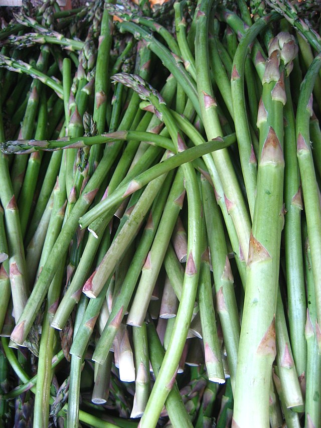 654 Viking KB3 Asparagus