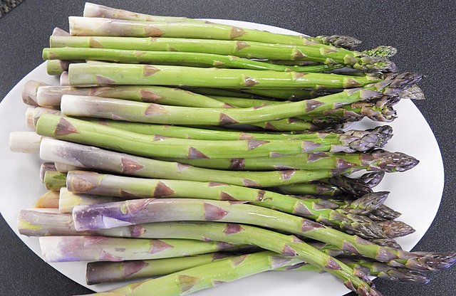 648-10 Millennium Asparagus (Pack of 10)
