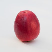 208 Centennial Crabapple