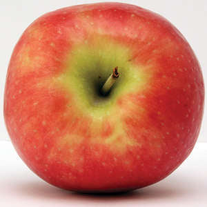 Freedom Apple