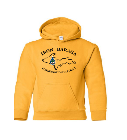 1316GKH Gold Kids Hoodie