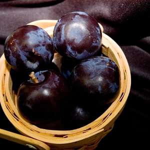BlackIce® Plum