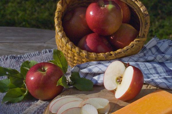 SnowSweet® Apple