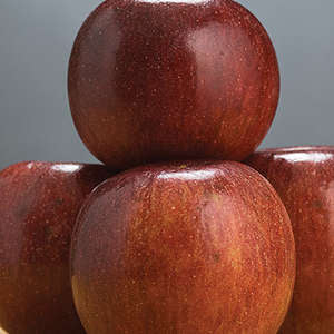 188 Winecrisp™ Apple