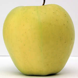 194 Yellow Transparent Apple