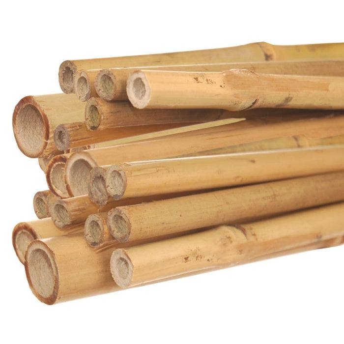 Bamboo Stake