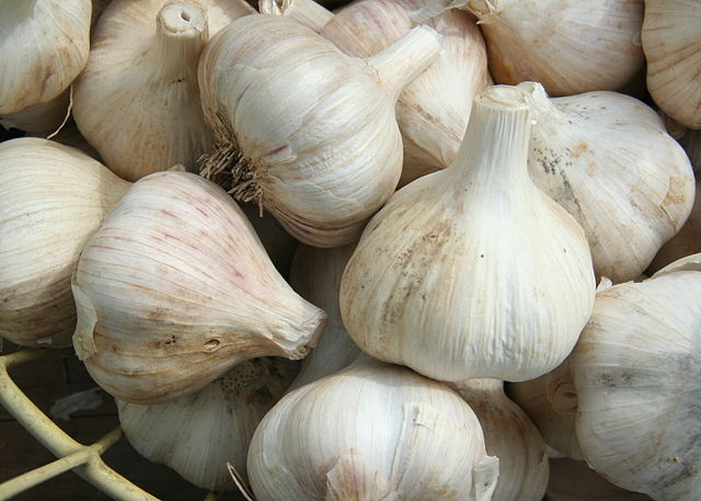 Garlic Bulbs