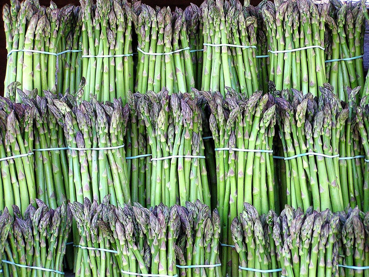 640-10 Jersey Giant Asparagus (Pack of 10)