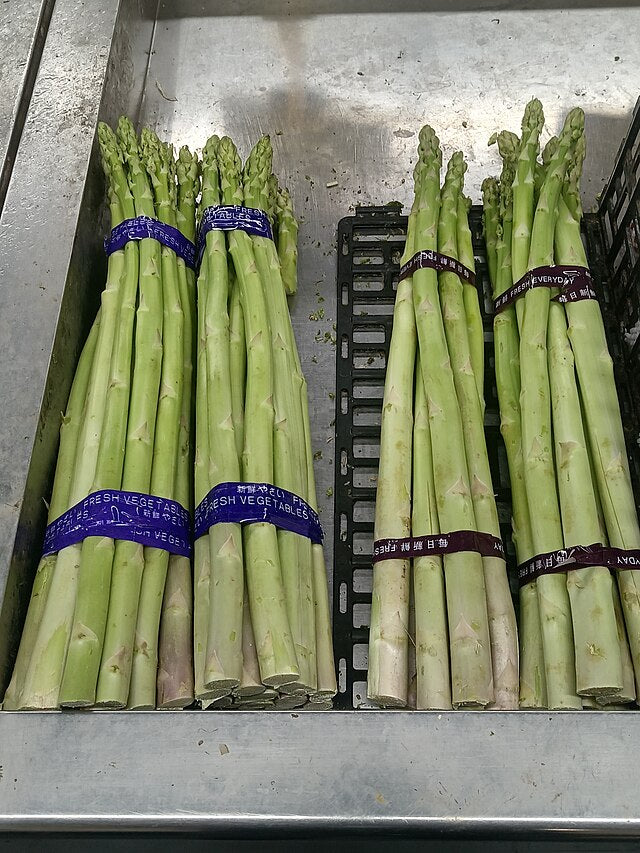 Millennium Asparagus (10 Plants)