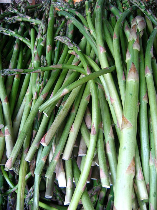 654 Viking KB3 Asparagus (Pack of 10)