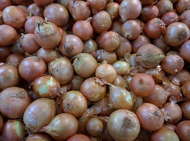 674 Yellow Onion Sets