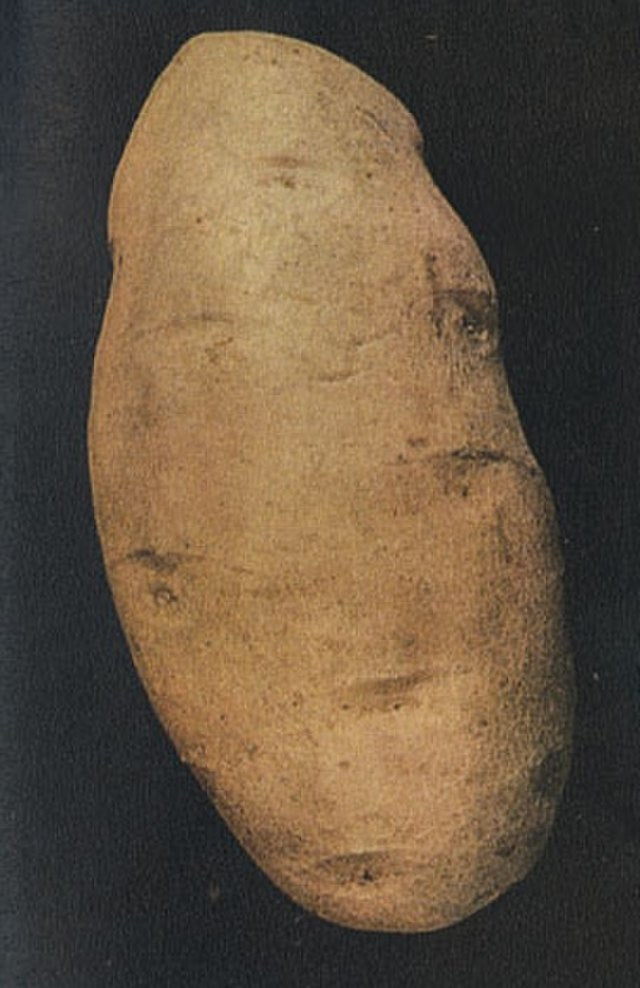 692 Russet Burbank Seed Potato