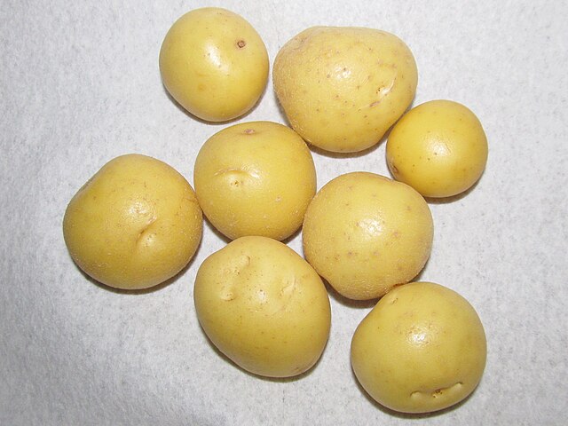 Yukon Gold Potato 2.5 lbs.