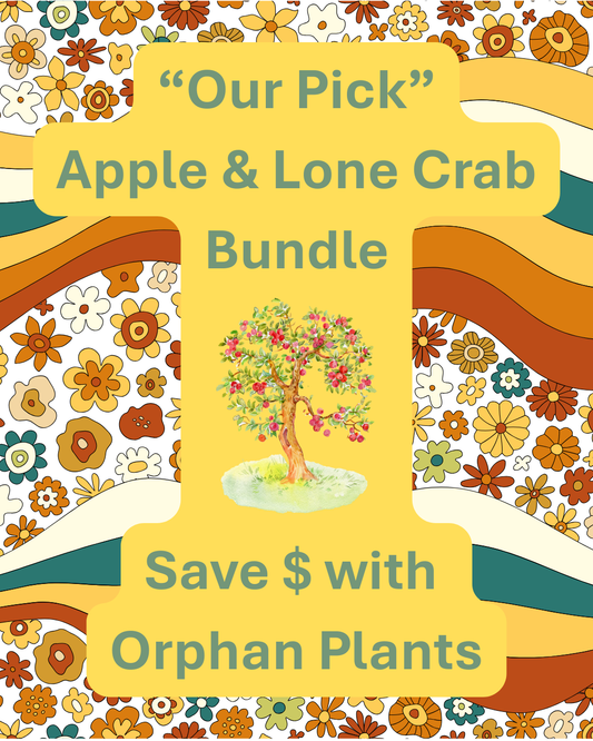 1400 Apple & Lone Crab Tree Bundle (5 Trees)