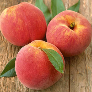 Reliance Peach