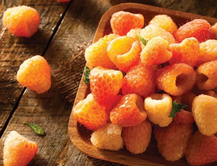 518 Fall Gold Yellow Raspberry