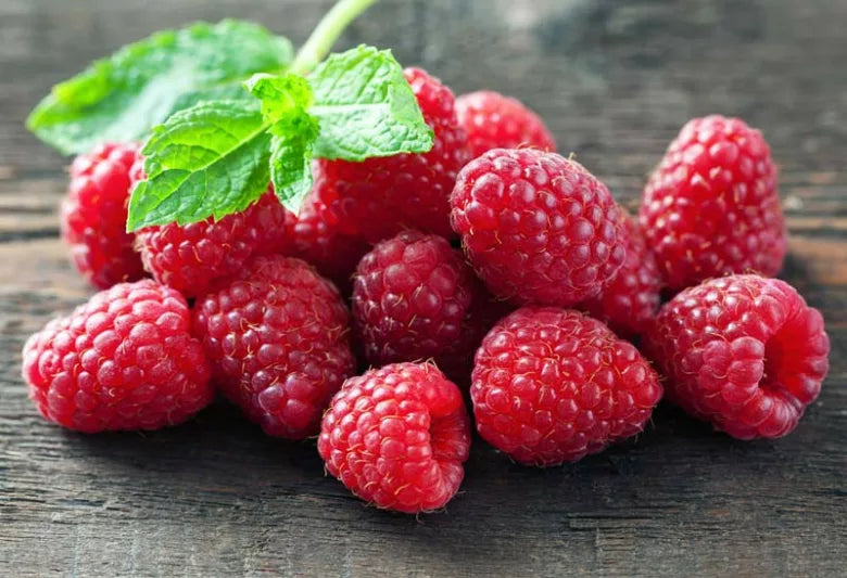 538 September Red Raspberry