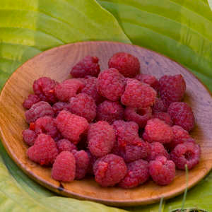 Heritage Red Raspberries