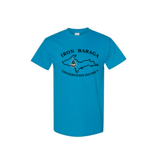 1312KSAPT Sapphire Kids T-Shirt