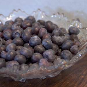 430 Northcountry Blueberry