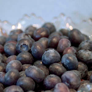 Duke Blueberry