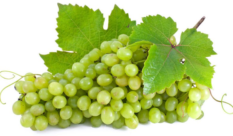 484 Niagra White Seeded Grape