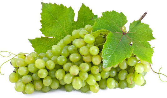 484 Niagra White Seeded Grape
