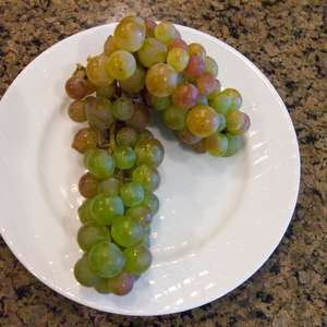 490 Swenson Red Grape