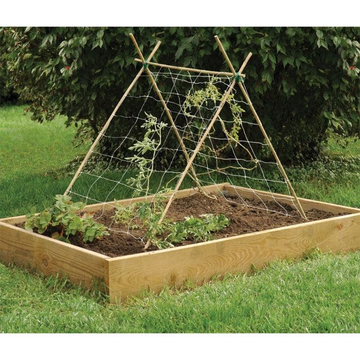 1002-1 Bamboo Stake Options